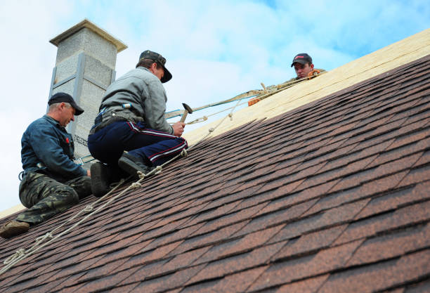 Best New Roof Installation  in North Plainfield, NJ